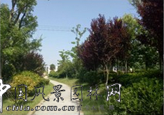 华艺园林喜获2015年城镇园林绿化精品示范工程