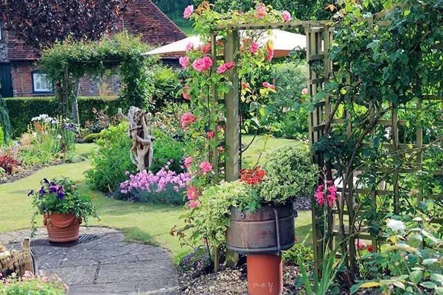 园艺：院子里梦境般的花果藤架