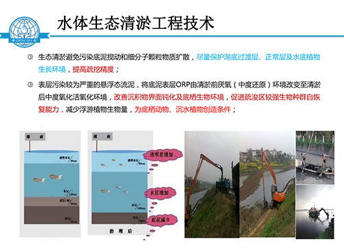 张饮江教授：水质生态修复景观构建