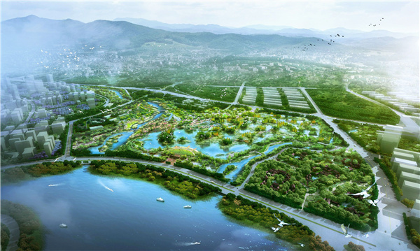 园冶杯获奖作品丨马銮湾新城水生态修复