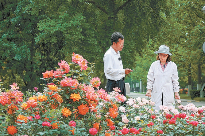 北京：10个“市花”新品种邀您命名