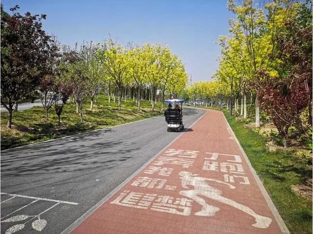 京城最大绿肺温榆河公园18条道路“瘦身曲化”
