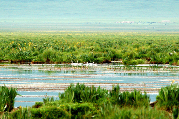青海再添一处国际重要湿地