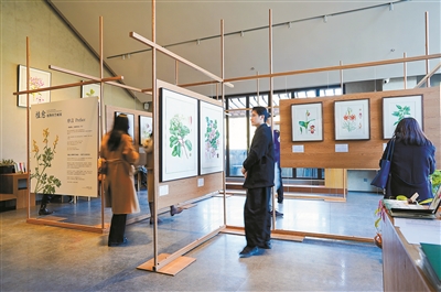 “植愈”科学画展览在京开幕
