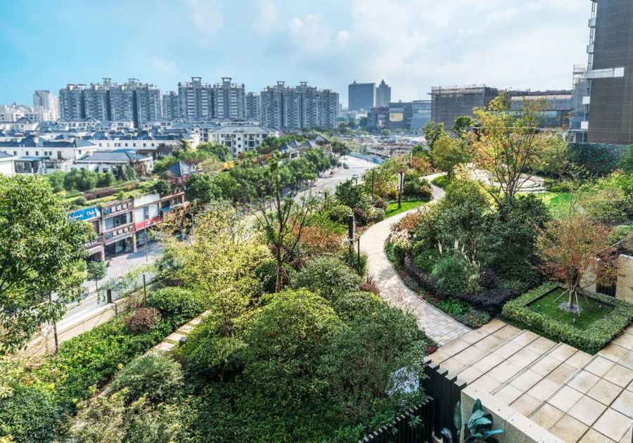 上海这样“见缝插绿”打造立体绿化