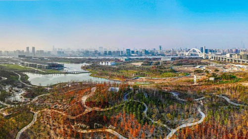 上海：计划新增120座城乡公园 城市公园全天开放