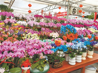 从年宵花市场看花卉产业新趋势
