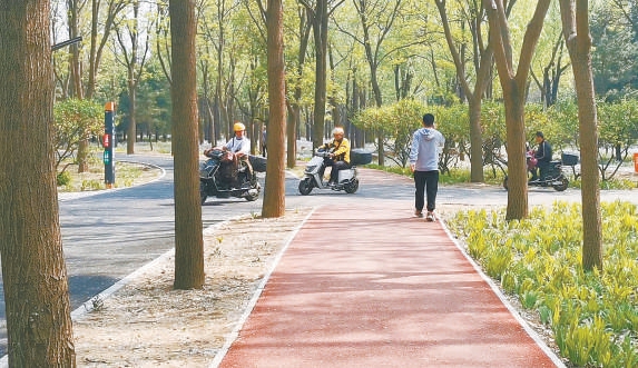 北京：部分城市绿道“危险重重”
